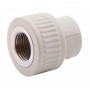 Муфта PPR Alfa Plast 63х2" ВР