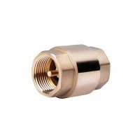 Обратный клапан SD Forte 1' SF240W25