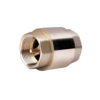 Обратный клапан SD Forte 1' 1/4 SF240W32